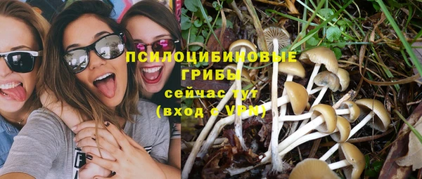дурь Богородицк