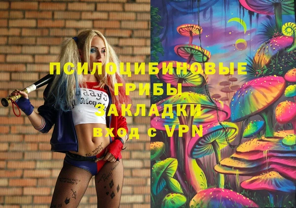 дурь Богородицк