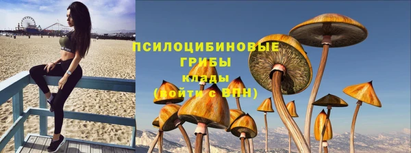 скорость Богородск