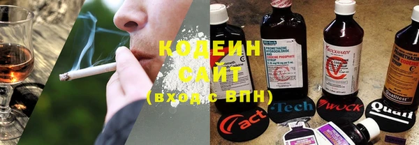 дурь Богородицк