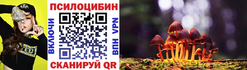 Галлюциногенные грибы MAGIC MUSHROOMS  наркотики  Тамбов 